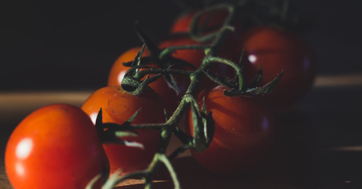 Come cucinare in modo efficiente per un grande gruppo?