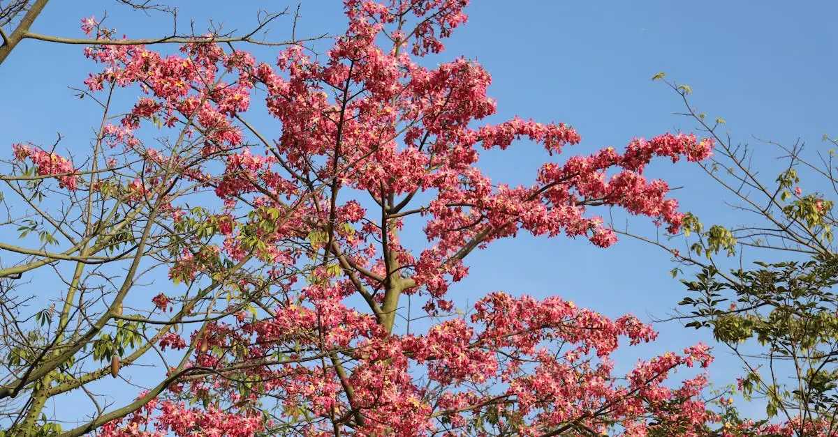 Cosa sono i giardini botanici e quale importanza hanno?