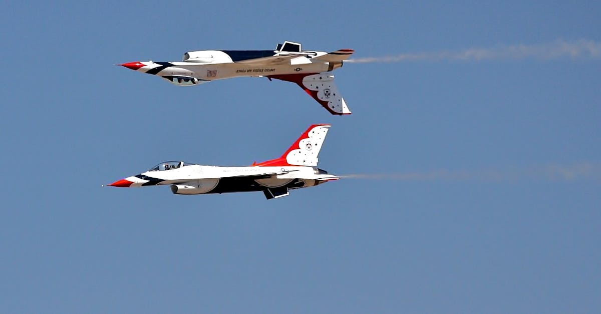 Cosa sono i Thunderbirds e perché attirano così tanto?