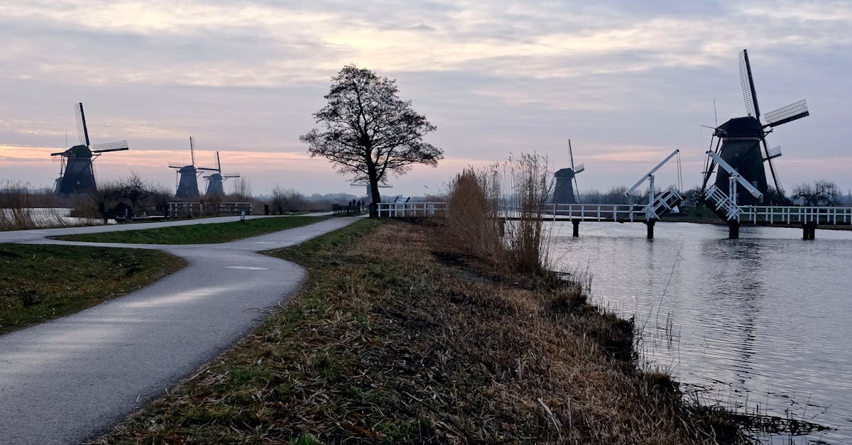 Perché Kinderdijk è così unico e speciale? Scopriamolo!