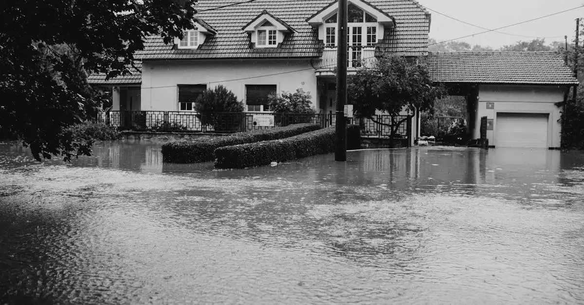 Perché le assicurazioni escludono i disastri naturali?