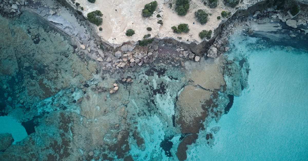 Perché Paphos è la tua prossima meta per le vacanze?