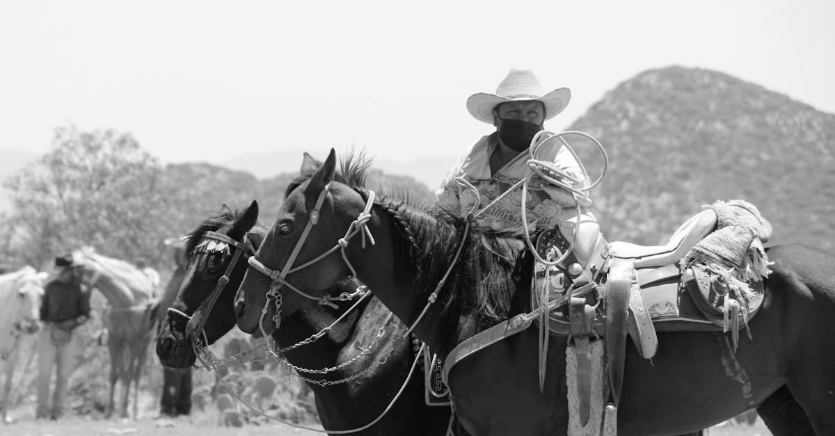 Qual è la storia di Black Beauty e il suo significato?