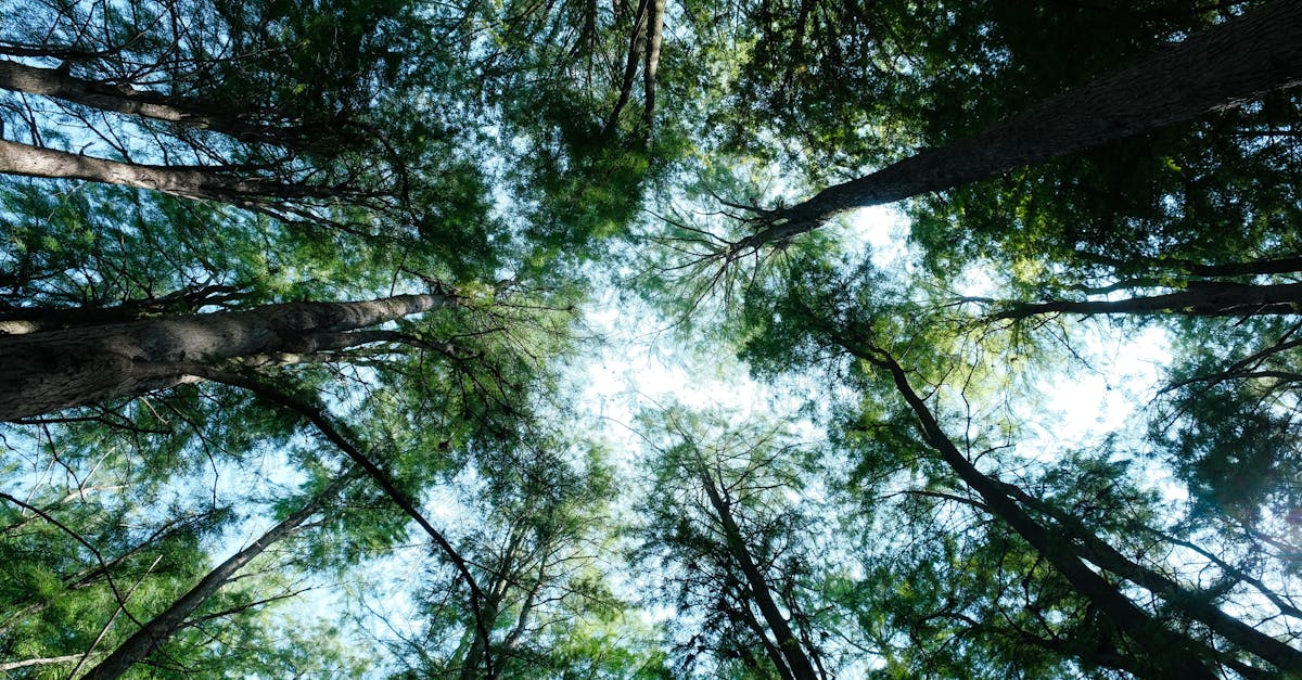 Quali abitudini seguire per vivere più a lungo?
