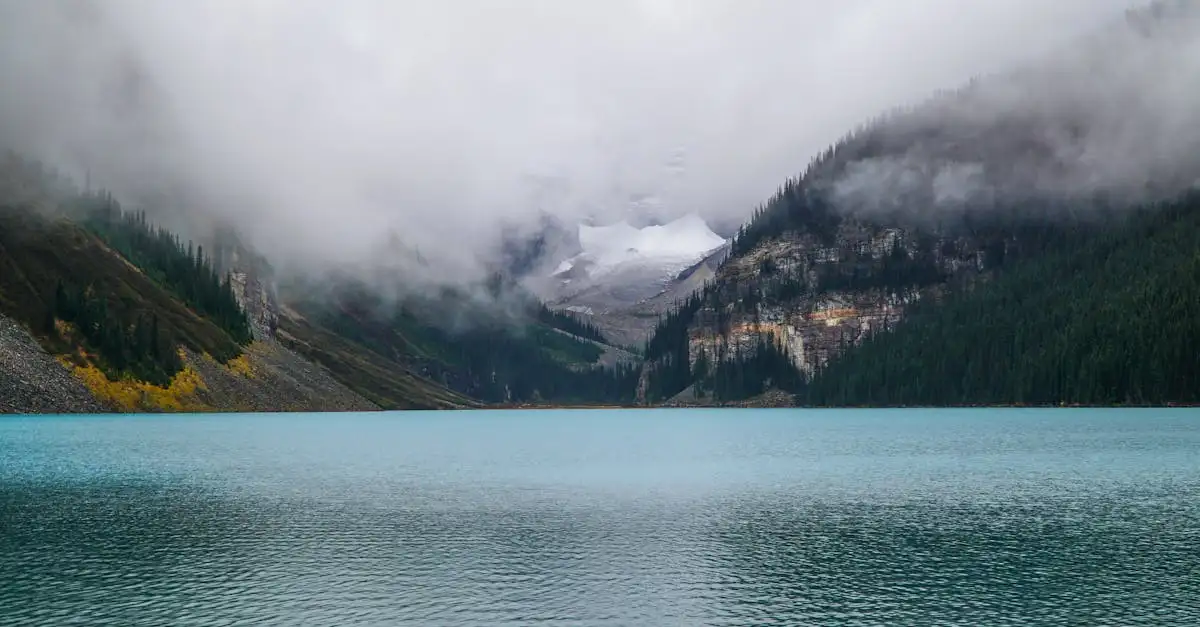 Quali meraviglie naturali scoprire in Canada?