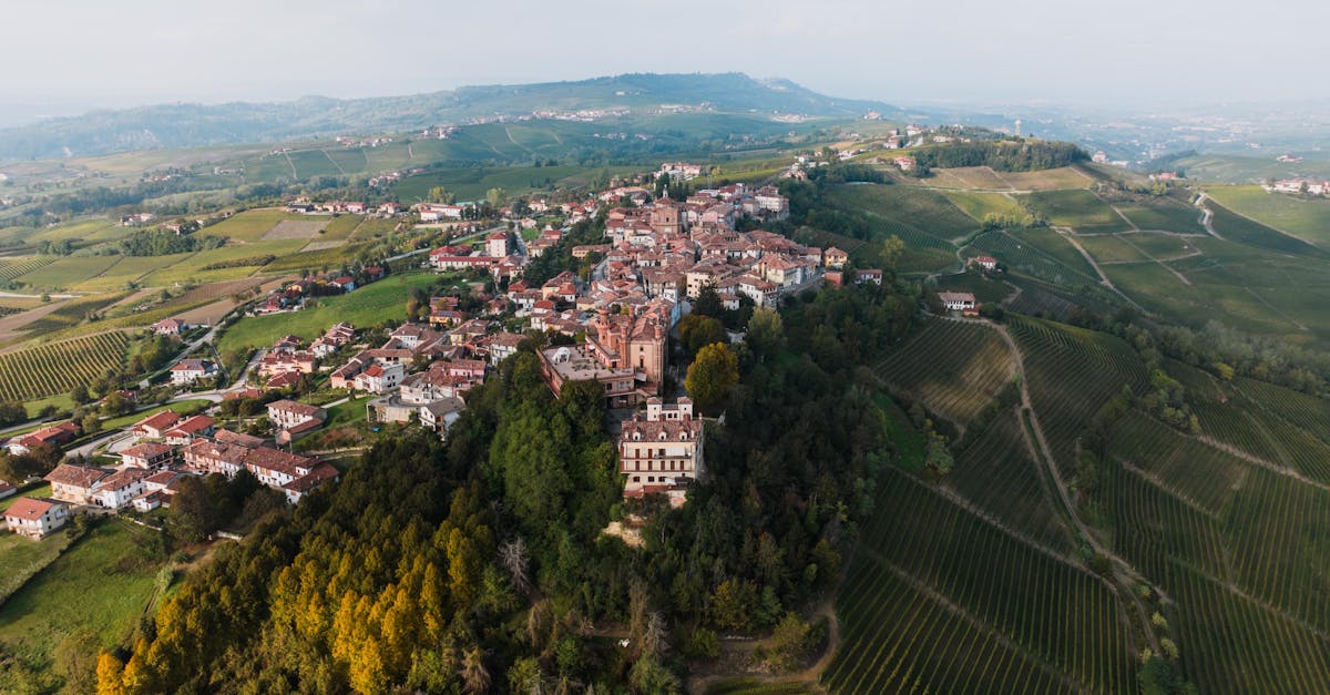 Quali sono le migliori regioni vinicole da visitare in Italia?