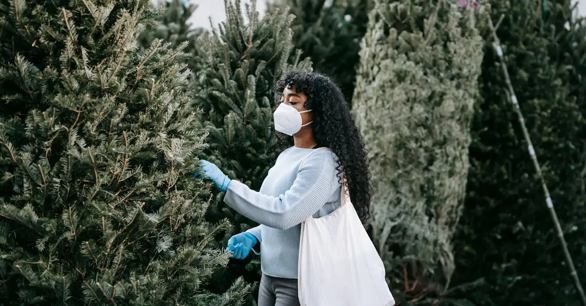 Albero di Natale: naturale o artificiale? Come scegliere?