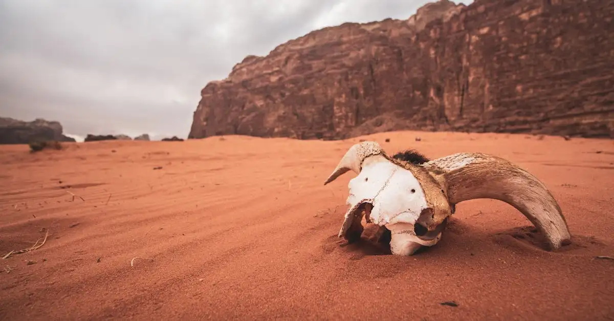 Che cos'è il parco naturale Wadi Rum in Giordania?