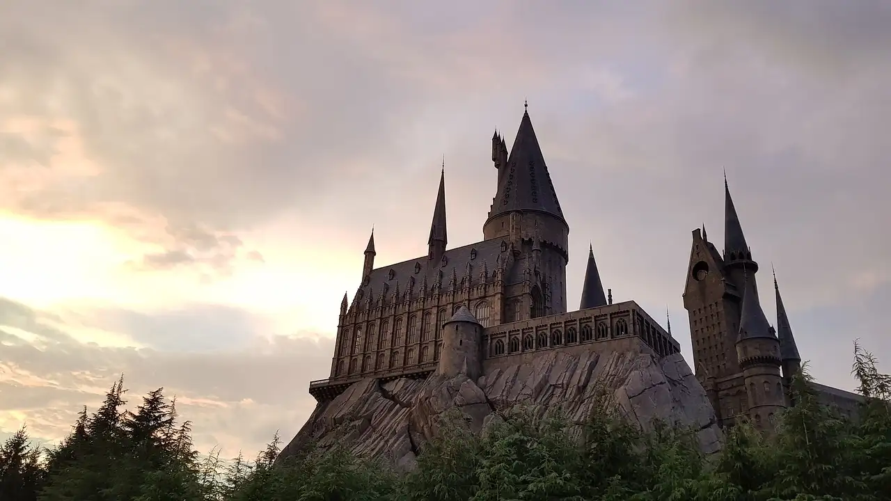 Chi ha interpretato Hermione Granger nella saga di Harry Potter?