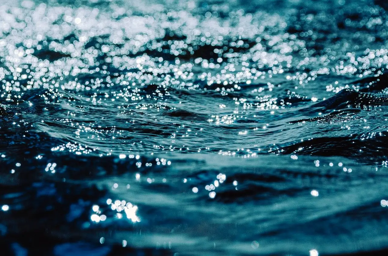 Come uccide l'acqua e detersivo per piatti gli afidi?