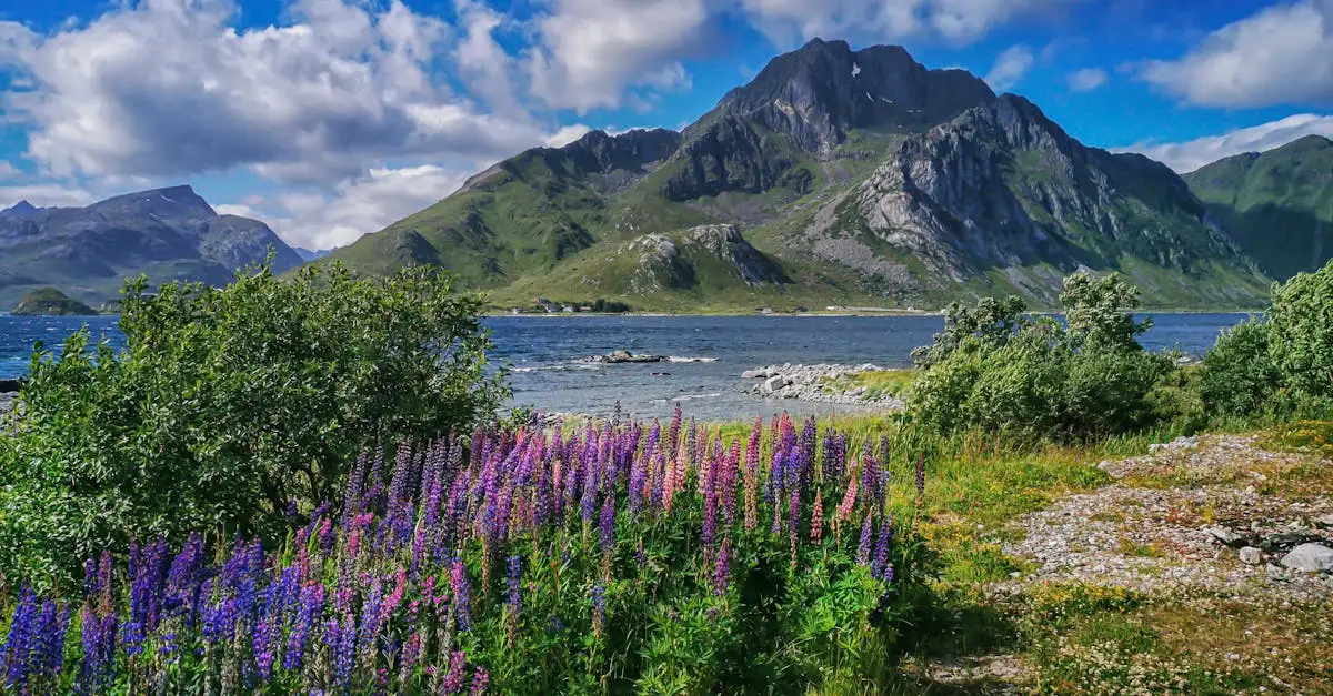 Cosa vedere nei Tatra in Slovacchia? Scopri di più!