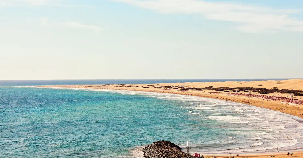 Qual è il deserto della Namibia con la Skeleton Coast?