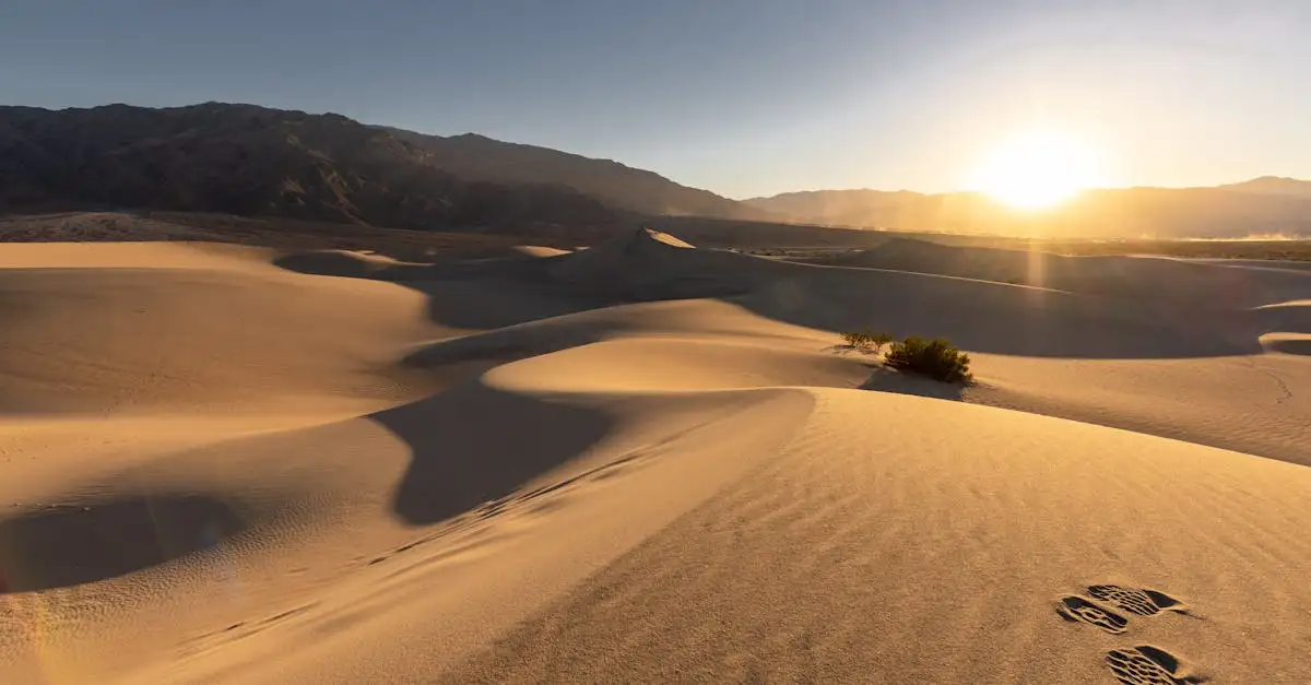 Qual è il deserto più piccolo del mondo, Carcross?