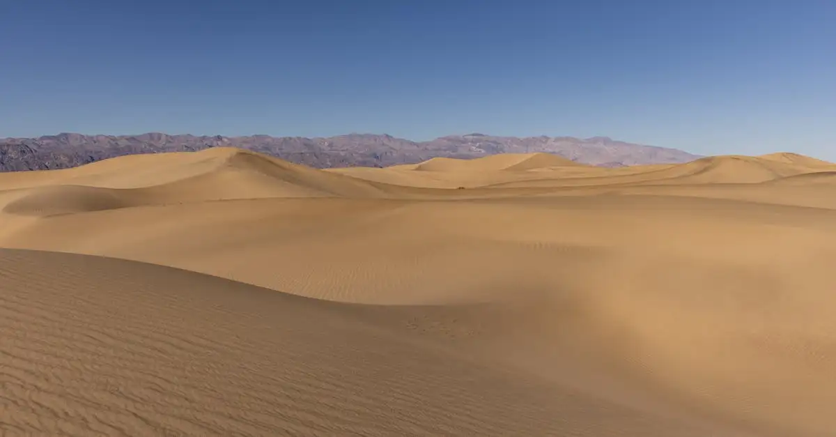 Qual è il deserto più piccolo del mondo, Carcross?