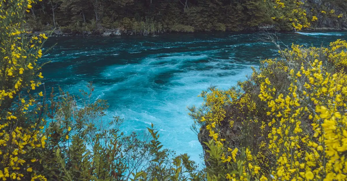 Qual è il fiume che alimenta il lago Titicaca?