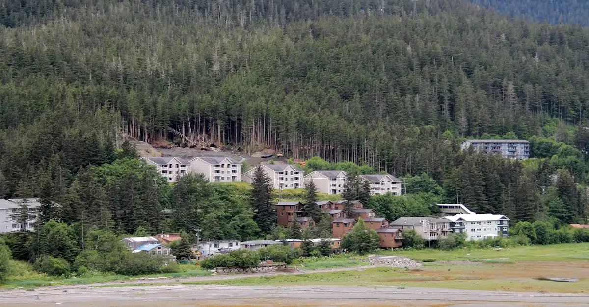 Qual è la città in Alaska per esplorare la natura selvaggia?