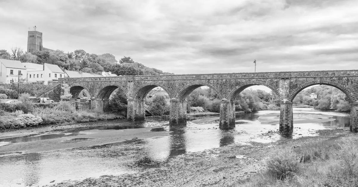 Qual è la storia concisa dell'Irlanda in poche righe?