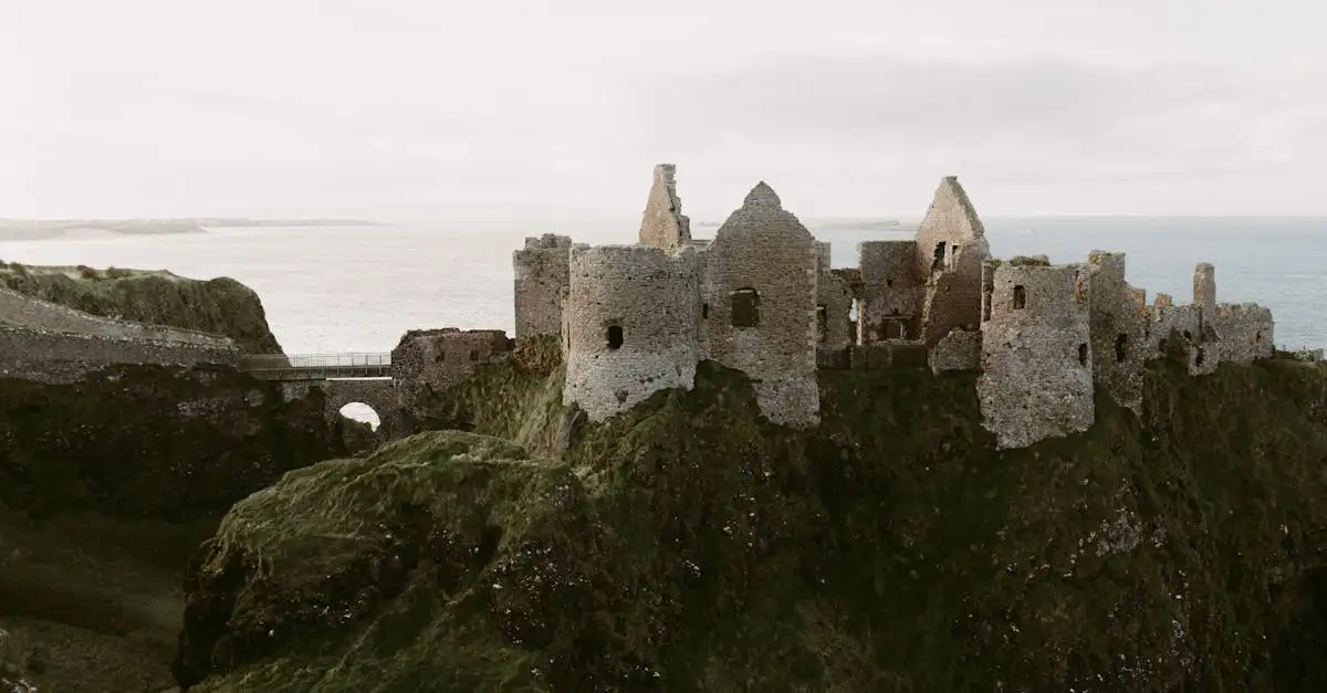 Qual è la storia concisa dell'Irlanda in poche righe?