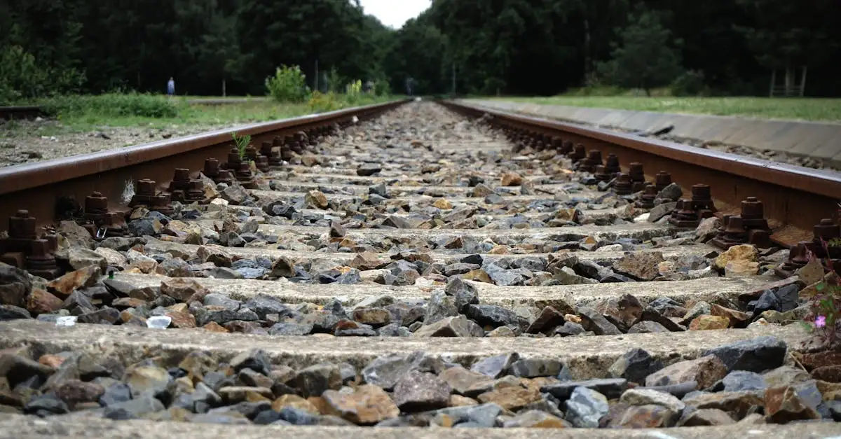 Qual è l'impatto delle ferrovie su città e commercio?