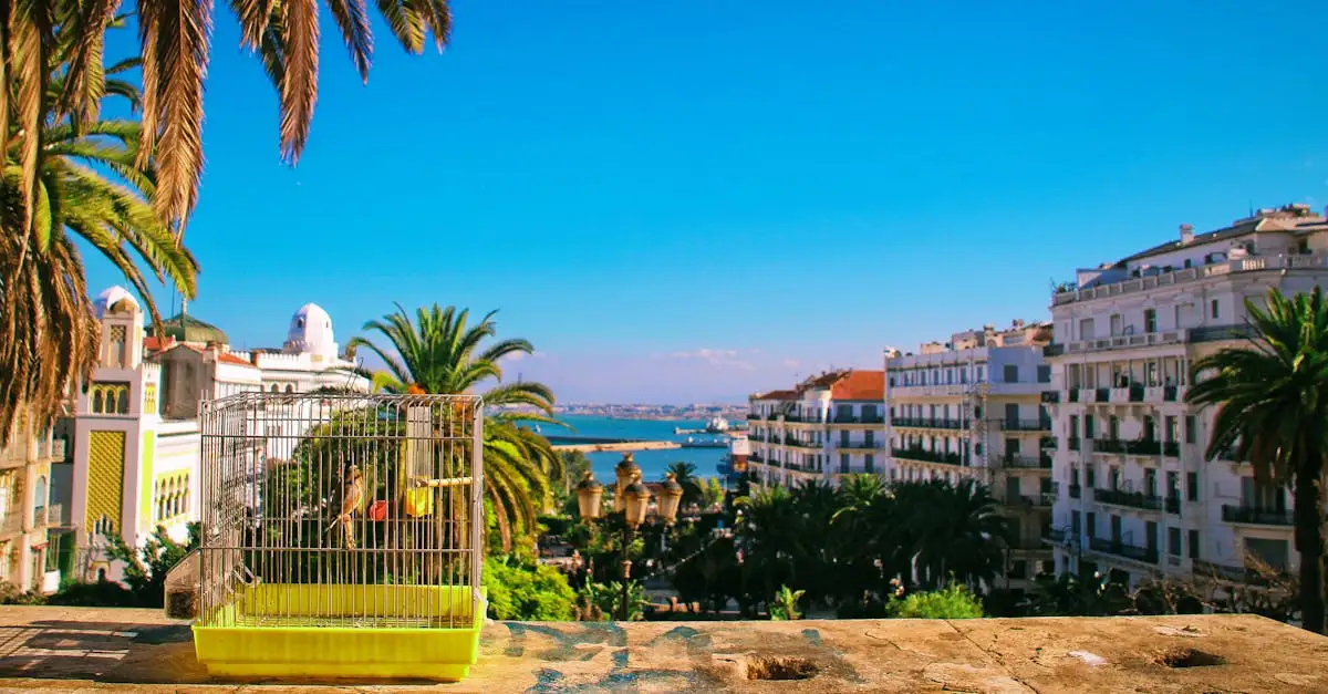 Quali sono le 3 attrazioni turistiche imperdibili in Algeria?