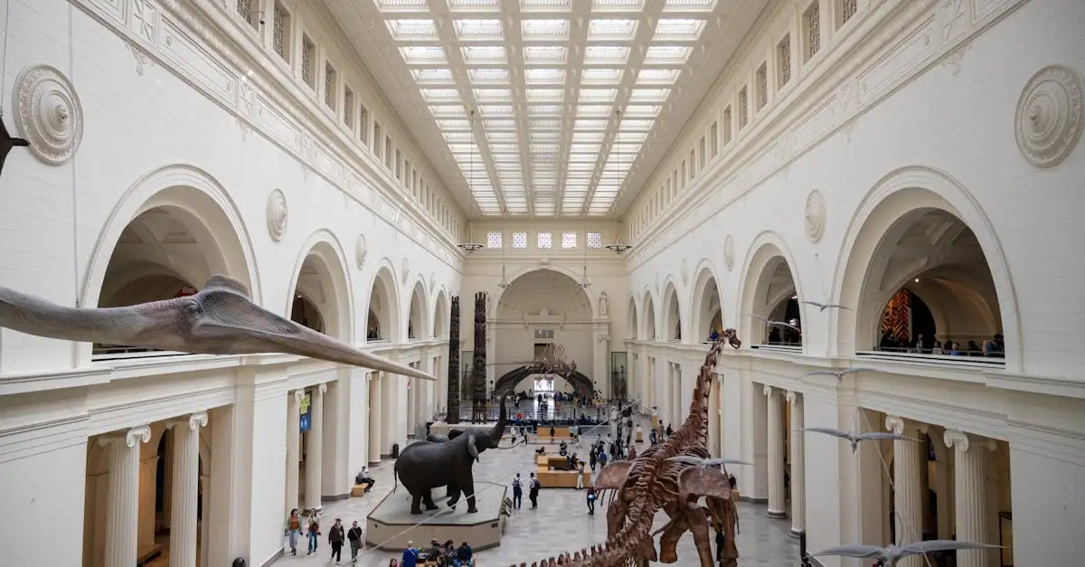 Quanto erano grandi i dinosauri come l'Argentinosaurus?