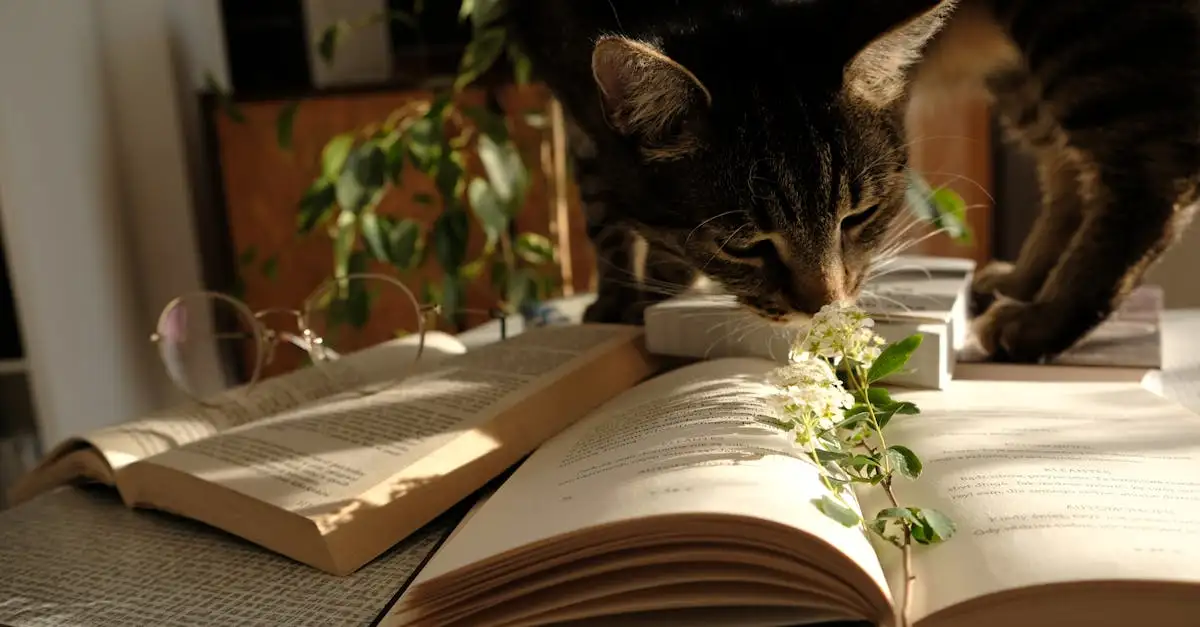 Come studiano gli scienziati il comportamento dei gatti?