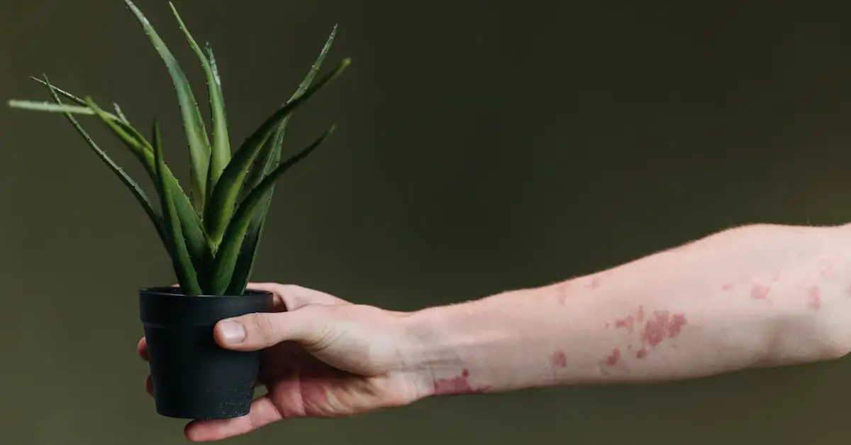 Come utilizzare l'aloe vera per la pelle sensibile?