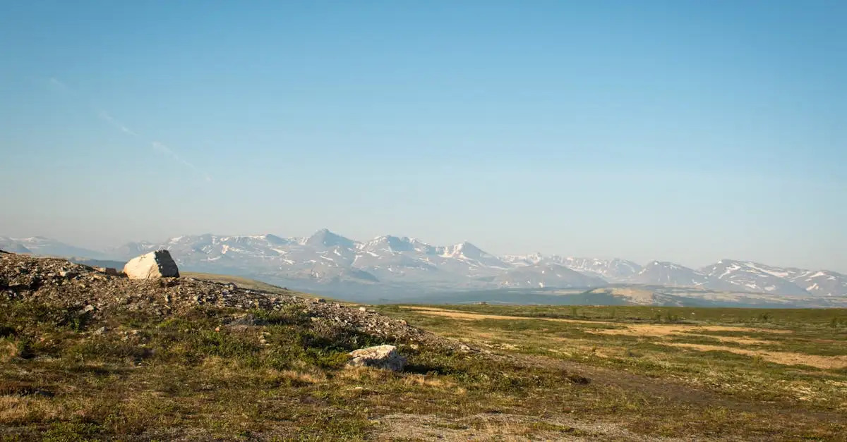 Qual è la regione della Norvegia che ospita Jotunheimen?