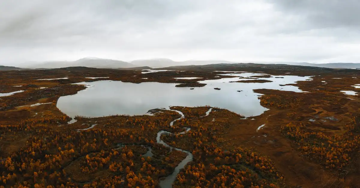 Quali ecosistemi si trovano nel Lago Uvs, Mongolia e Russia?