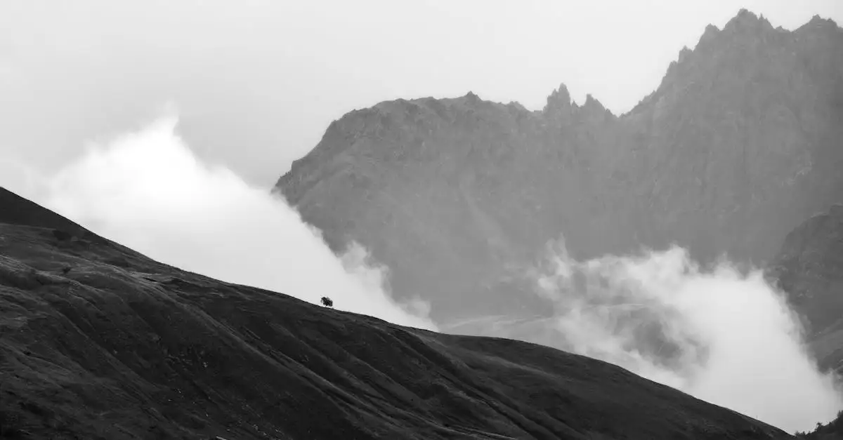 Quali montagne in Francia offrono lavanda e gole spettacolari?