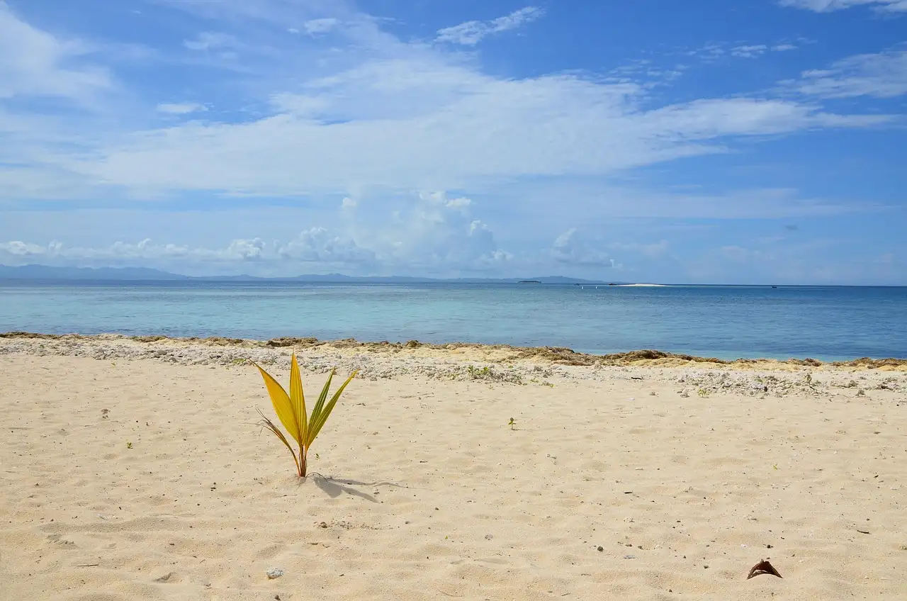 Quali sono le 3 attrazioni imperdibili delle Fiji?