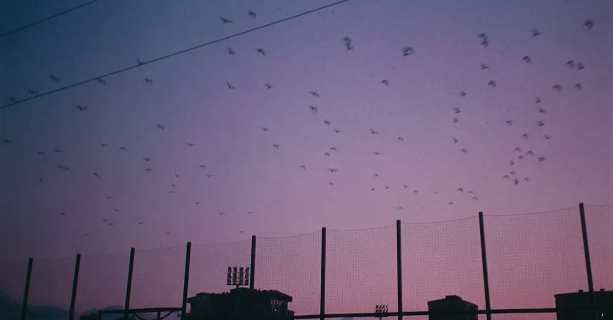 Come i cambiamenti stagionali influenzano gli uccelli?