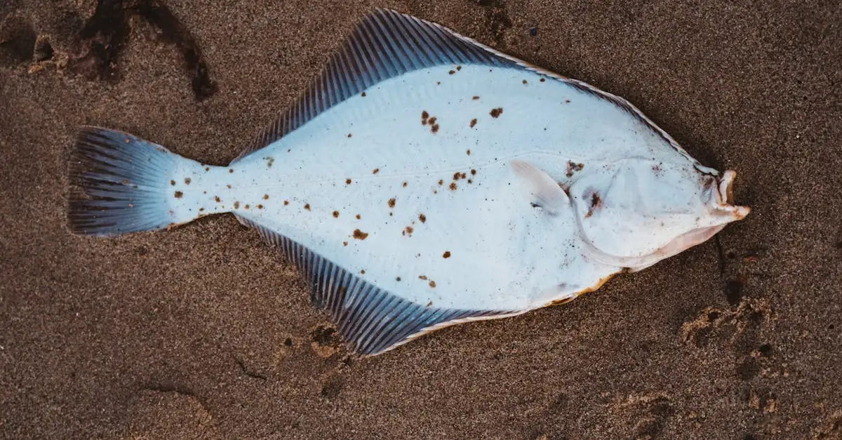 Come influisce il Lago Winnipeg sulla pesca locale?