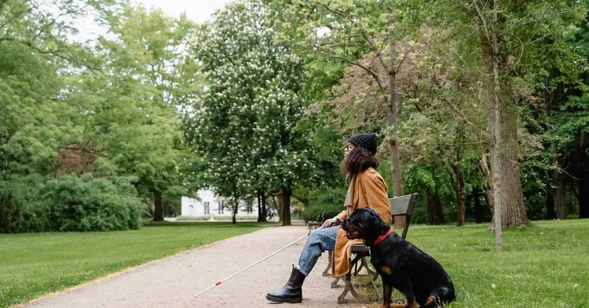Come si addestrano i cani da assistenza per disabili?