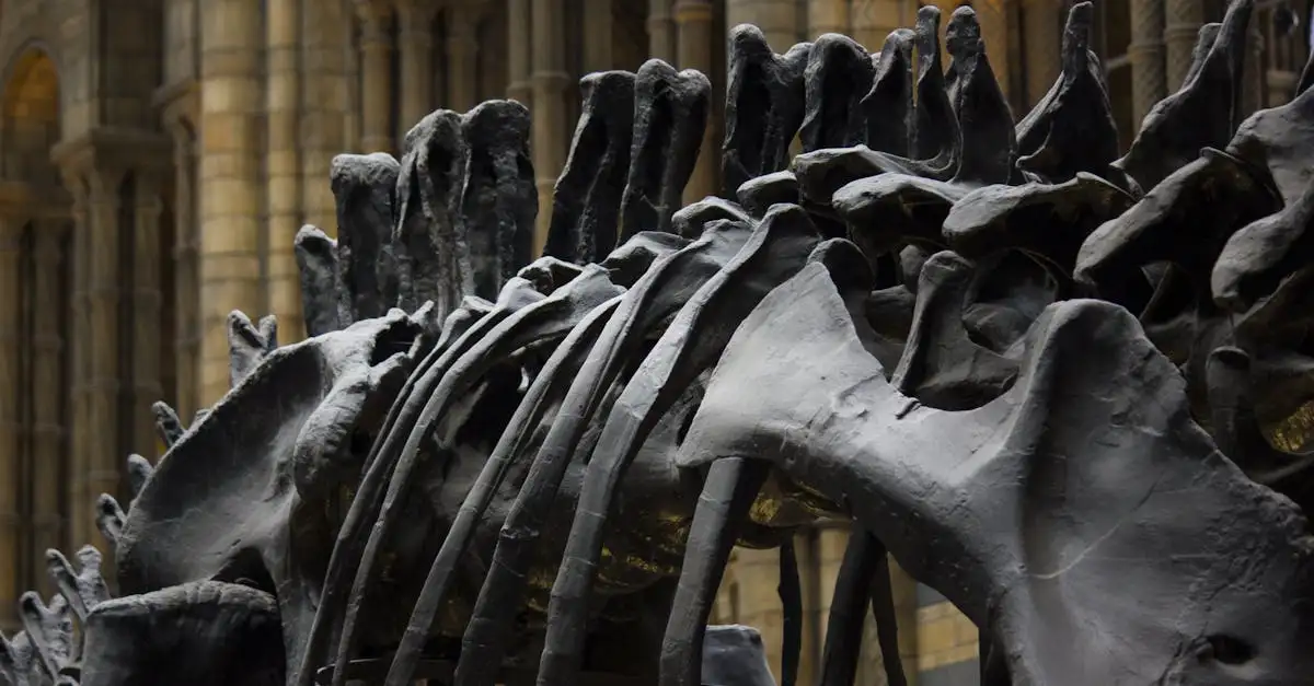 Cosa rivelano le impronte dentali e le ossa fossilizzate?