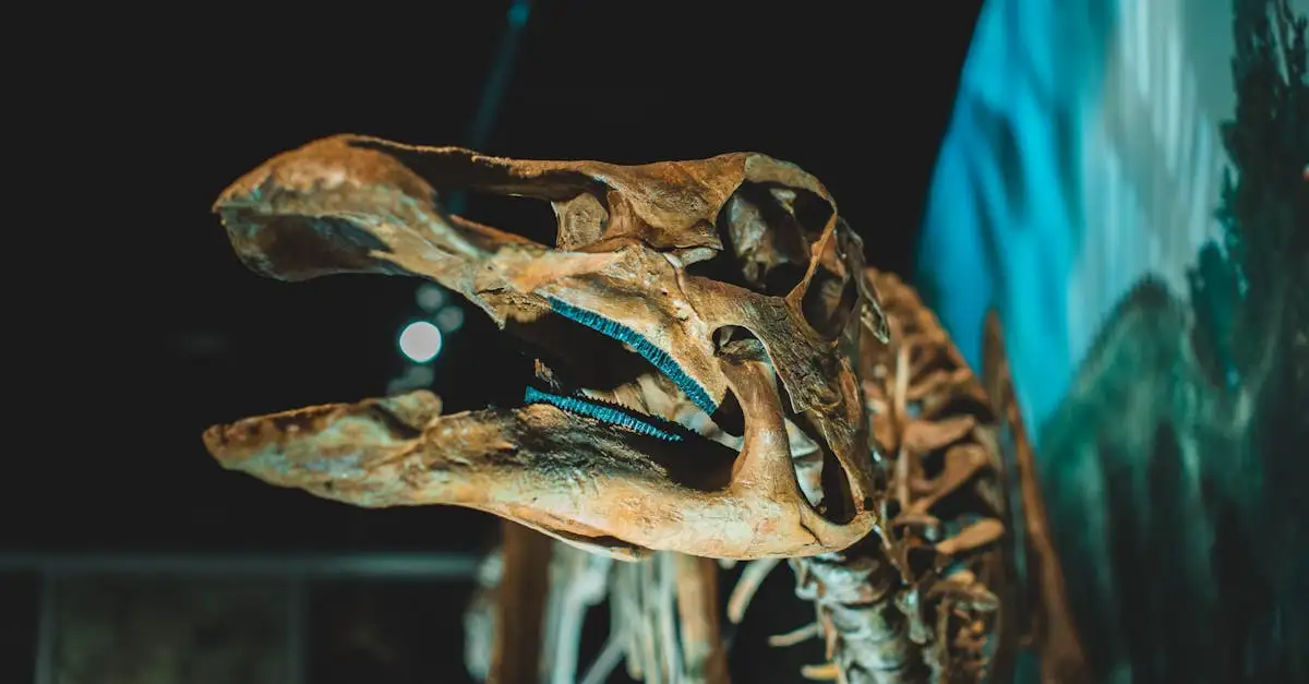 Cosa svelano i fossili sulle code dei dinosauri?