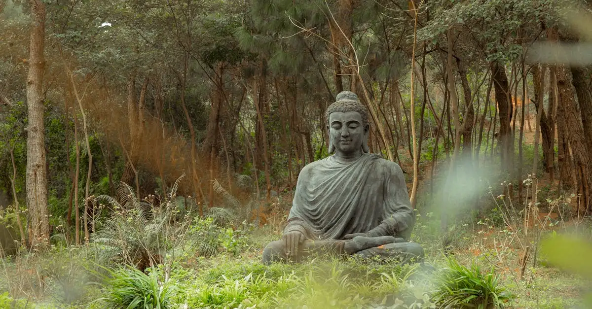 Dove si trova la foresta sacra di Osun-Osogbo?