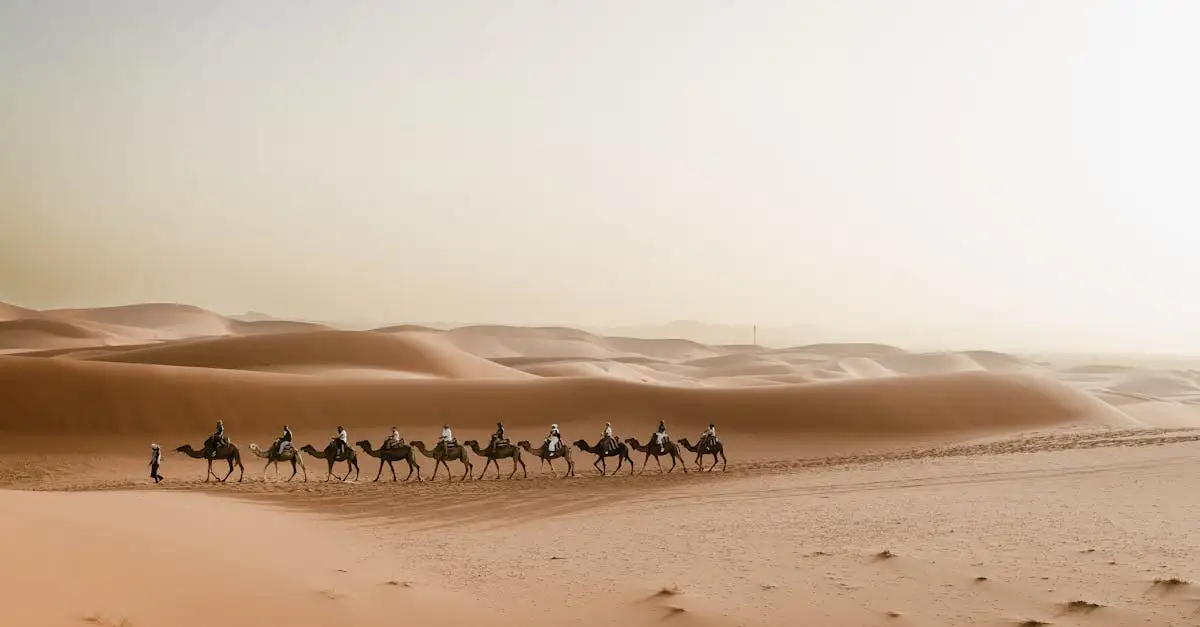 Qual è il deserto africano con le più grandi dune di sabbia?