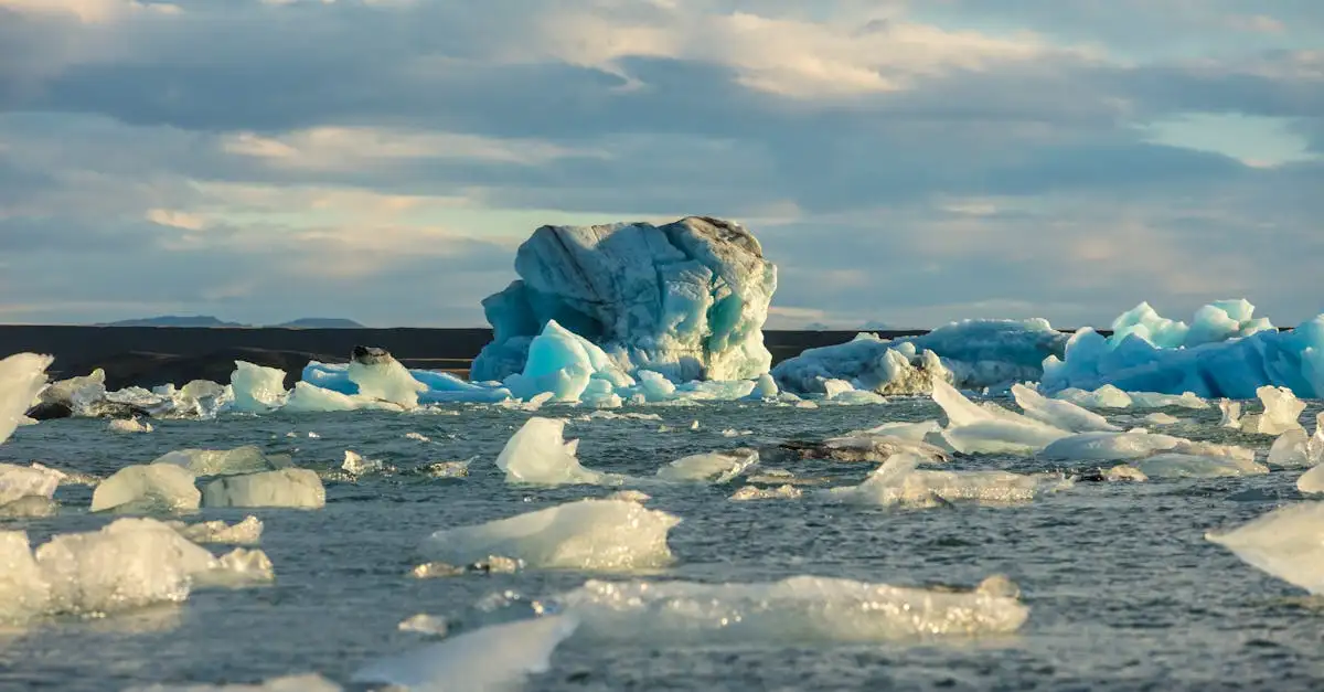Qual è il deserto più freddo del mondo: Antartide o altro?