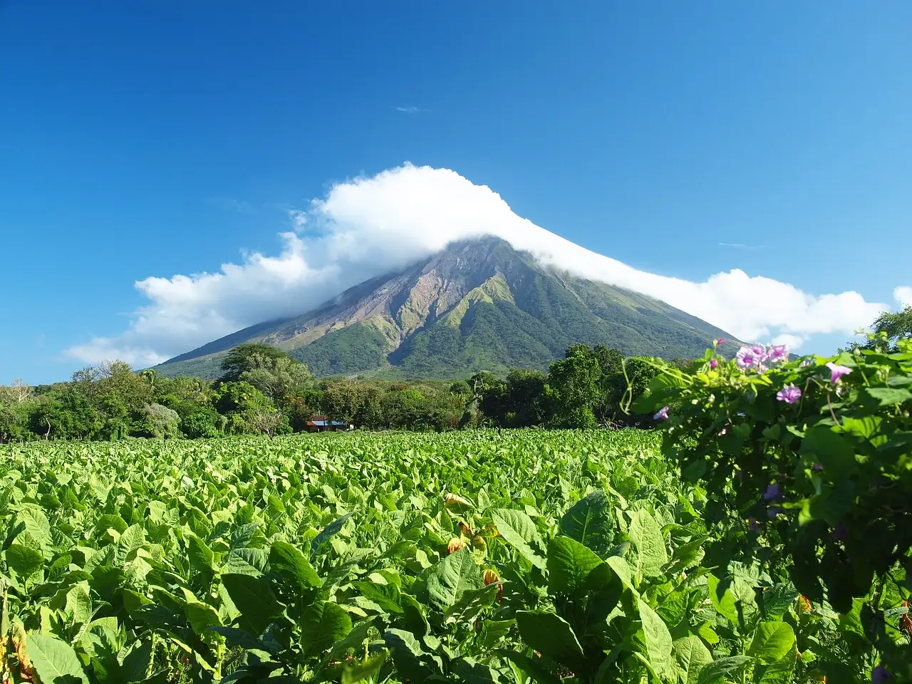 Qual è la capitale del Nicaragua e perché è scelta?