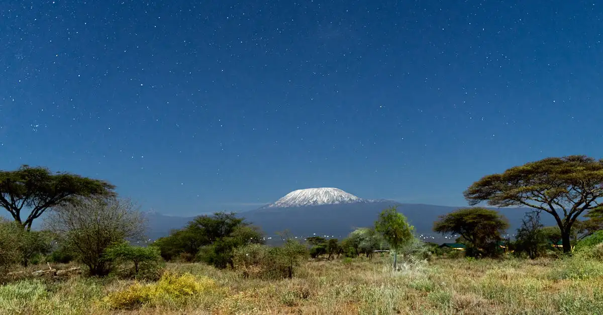Qual è la città ai piedi del Kilimanjaro in Tanzania?