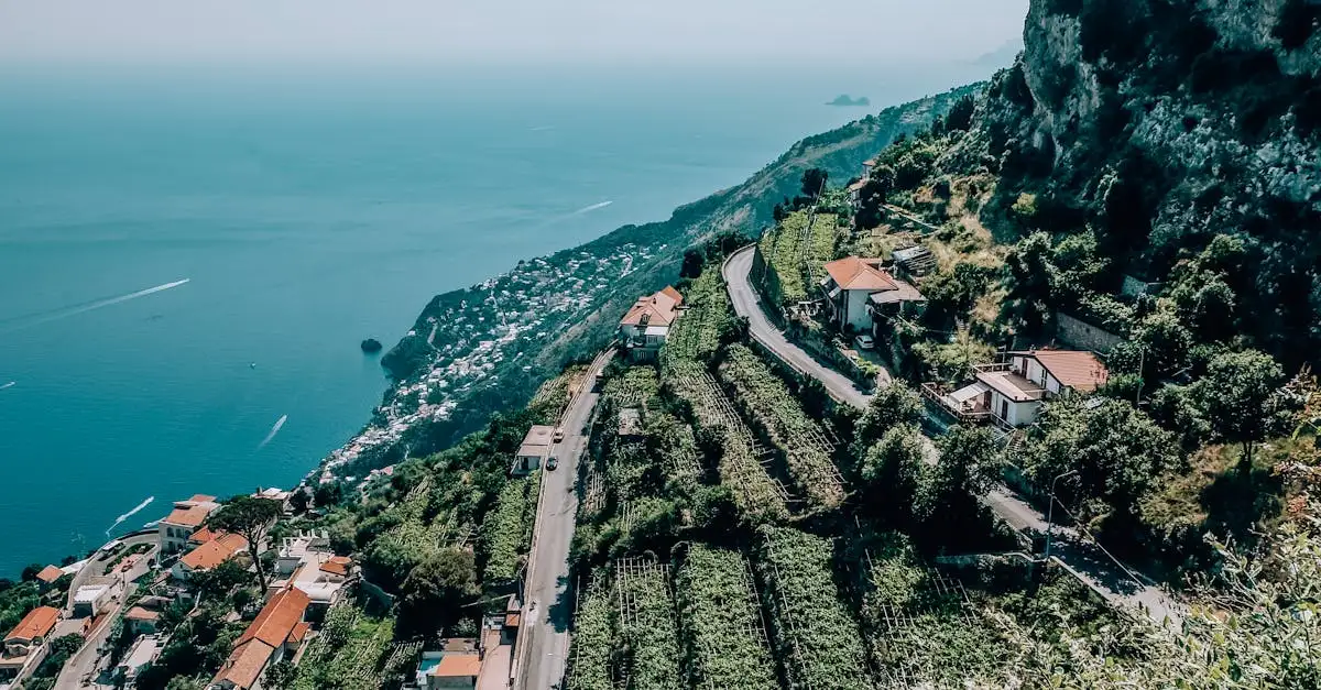 Qual è la città cilena celebre per le sue vigne?