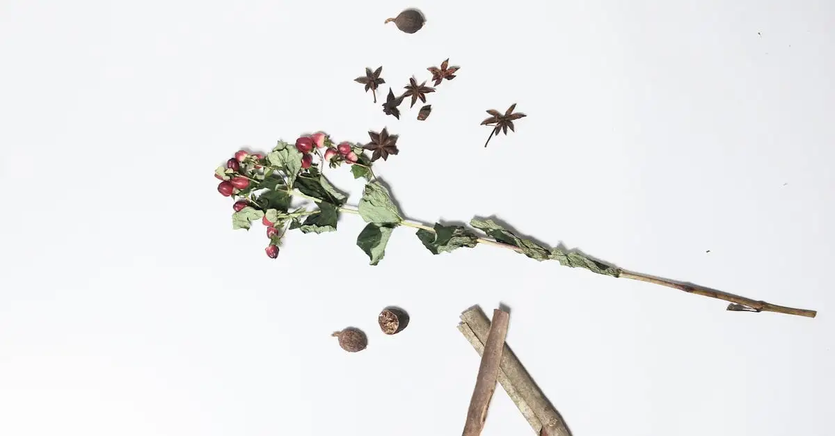 Qual è la spezia derivata dal fiore della noce moscata?