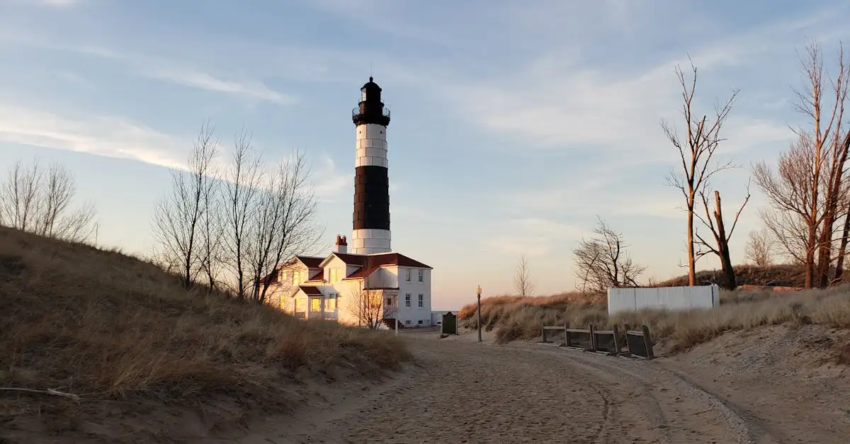 Qual è la storia breve e affascinante del Michigan?