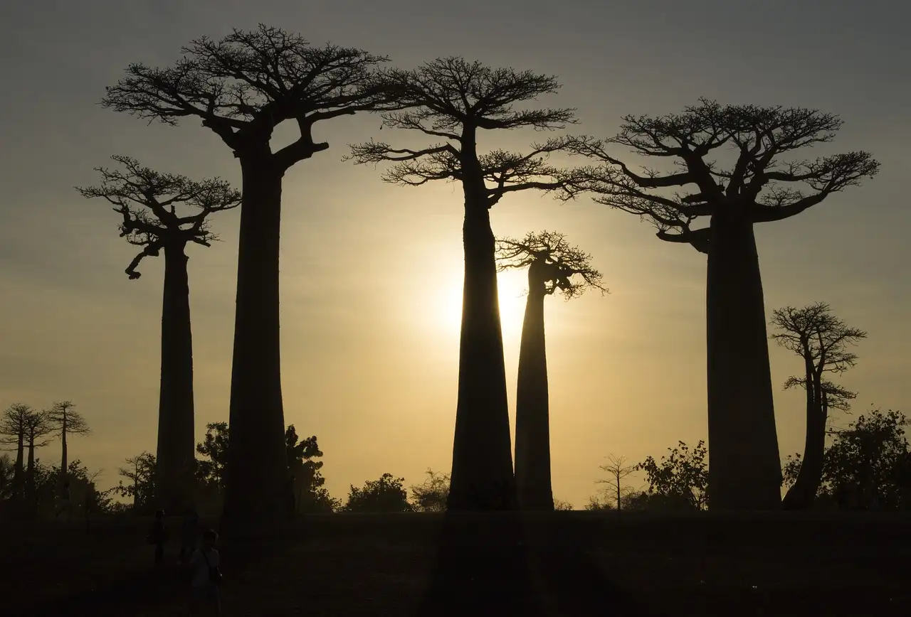 Qual è la storia del Madagascar in sintesi?
