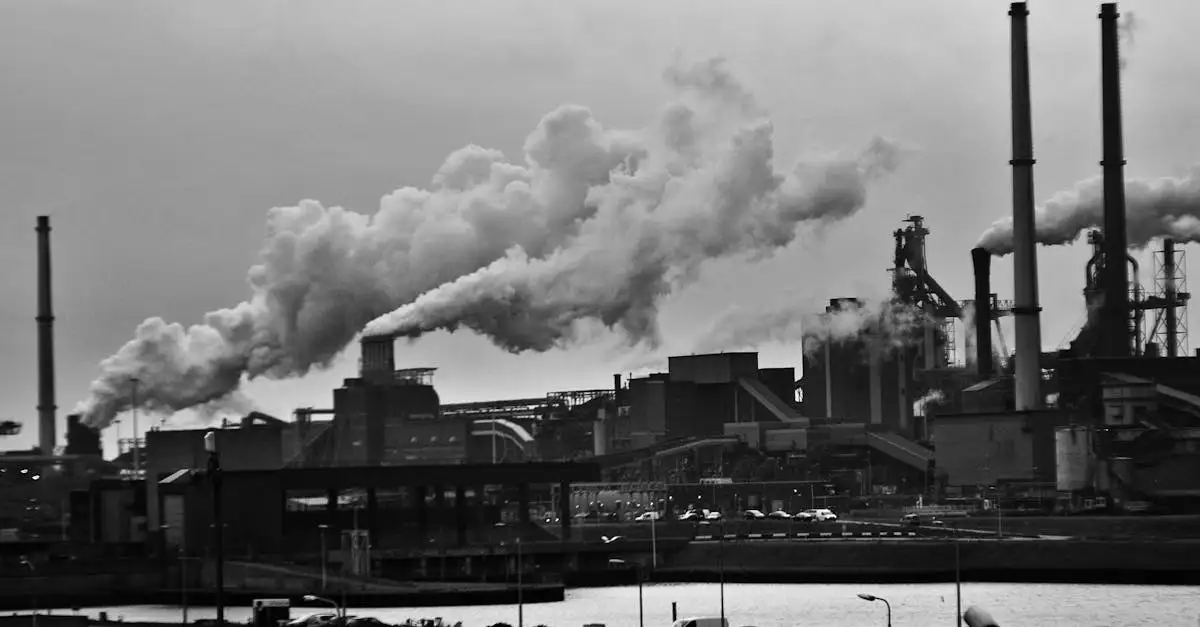 Qual è l'impatto della rivoluzione industriale in Europa?
