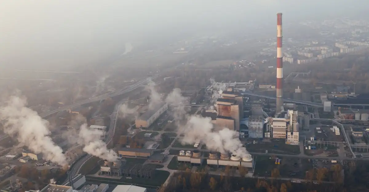 Qual è l'impatto della rivoluzione industriale in Europa?