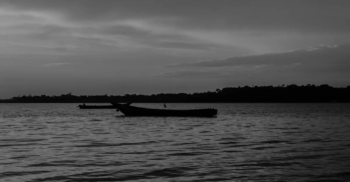Qual è l'importanza del Lago Edward per Uganda e Congo?