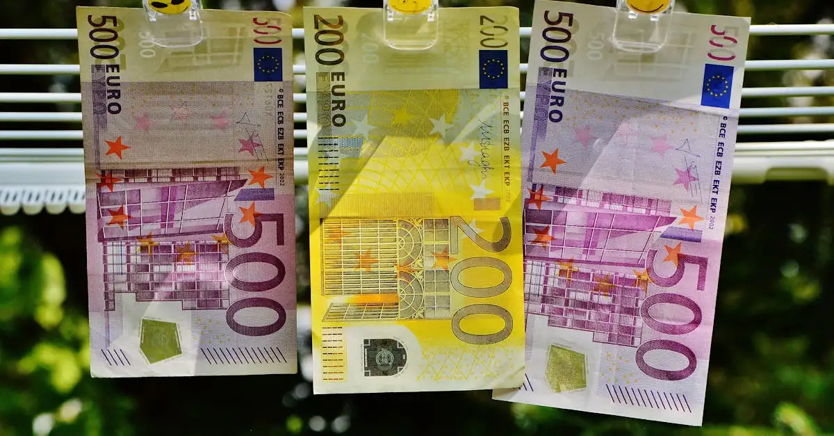 Qual è l'obiettivo principale dell'euro dal 1999?