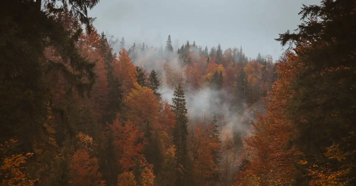 Quali attrazioni offre il Parco Nazionale Hohe Tauern in Austria?